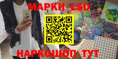 гашик Дубна