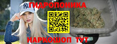 бошки Донецк