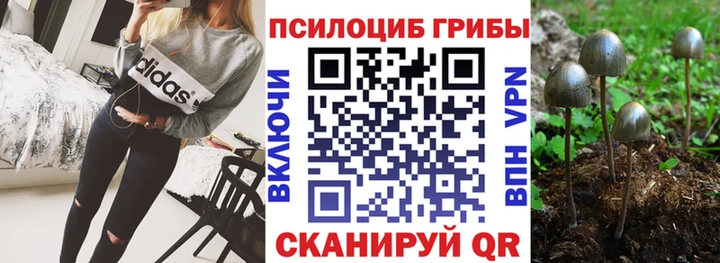 Псилоцибиновые грибы мухоморы  Елабуга 