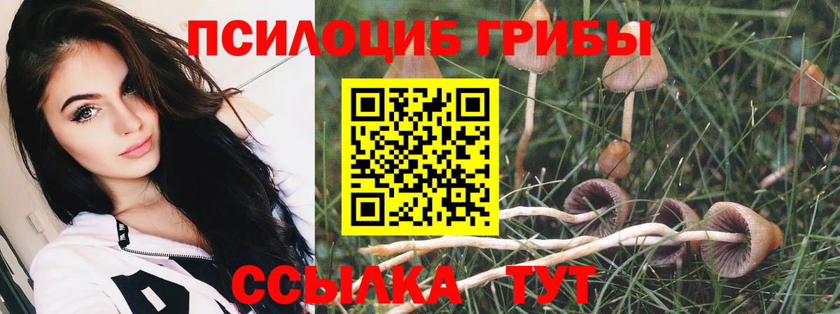 Псилоцибиновые грибы Cubensis  Галлюциногенные грибы мицелий  Елабуга  где продают   Вход с VPN 