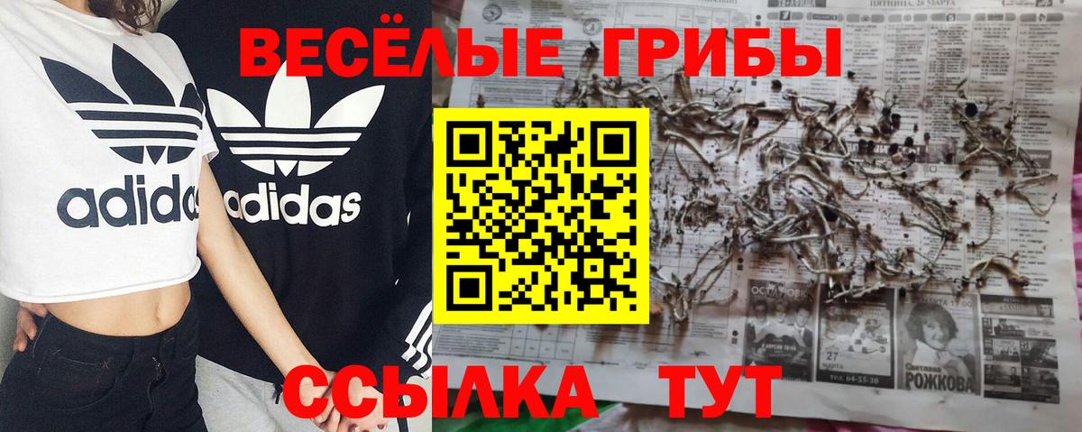 Галлюциногенные грибы прущие грибы  Елабуга 