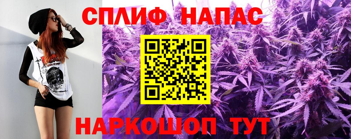 Каннабис конопля  Елабуга  Бошки Шишки Amnesia  Канабис Amnesia 